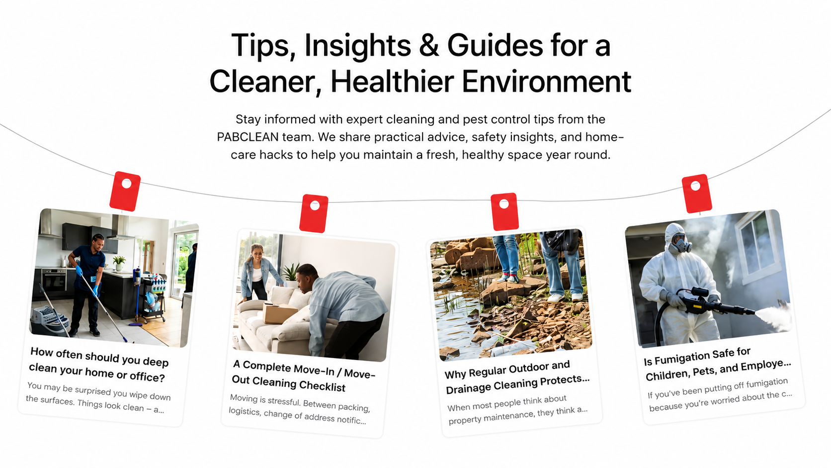 Tips, Insights & Guides for a Cleaner, Healthier Environment